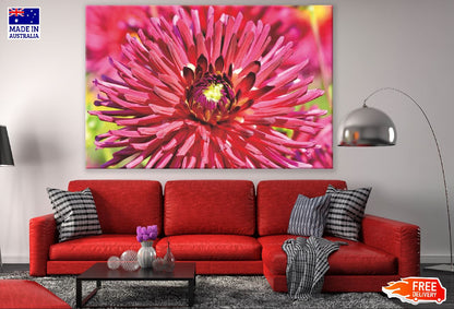 Red Dahlia Flower Macro Photograph Print 100% Australian Made