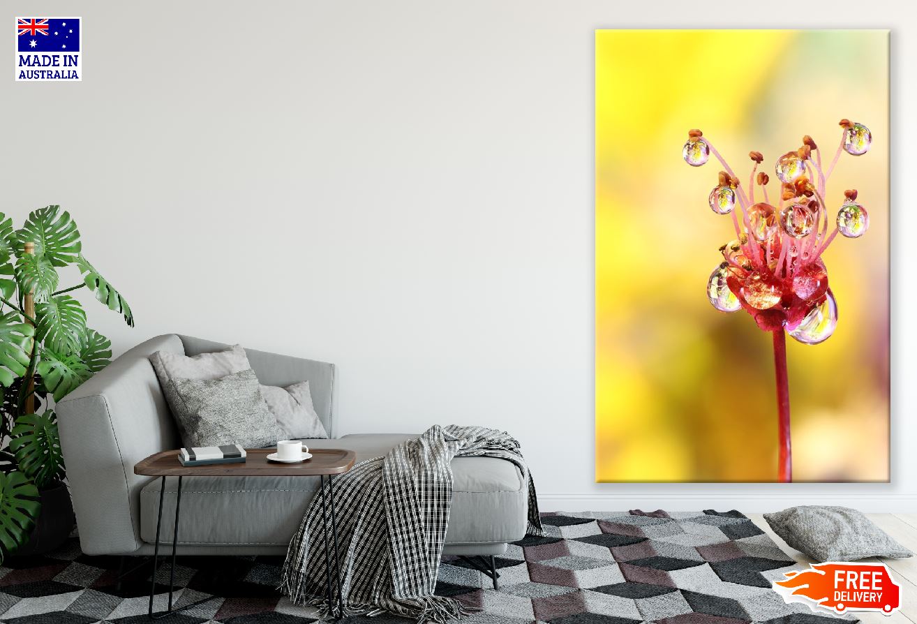 Flowers Dew Drop Macro Photograph Print 100% Australian Made