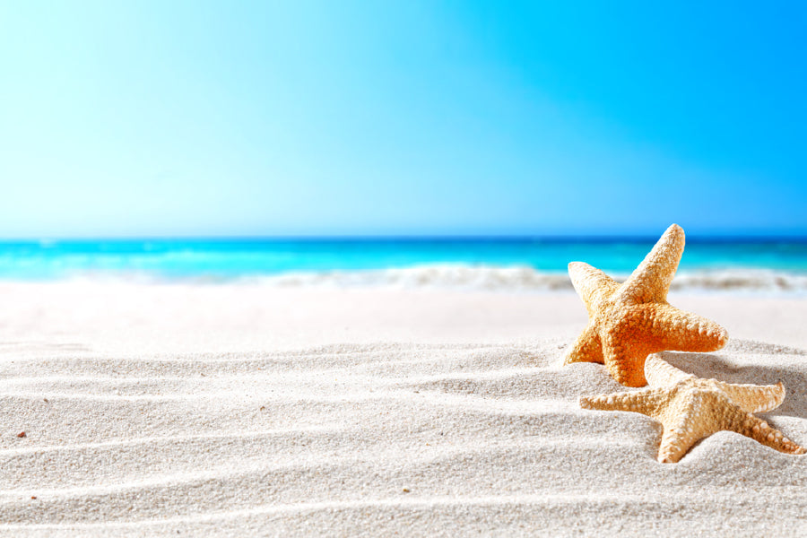 Starfish on Seashore Sand View Photograph Print 100% Australian Made
