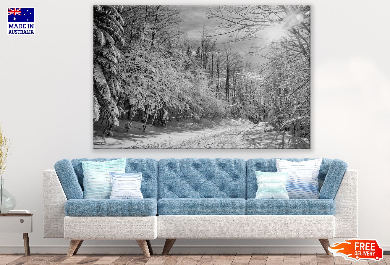 Snow Forest B&W Photograph Print 100% Australian Made