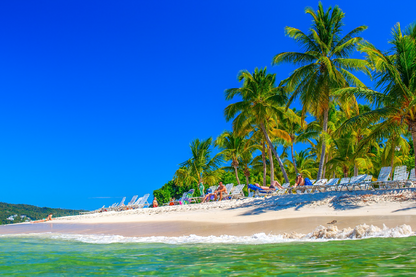 Palm Trees & Sea Scenery View Photograph Home Decor Premium Quality Poster Print Choose Your Sizes