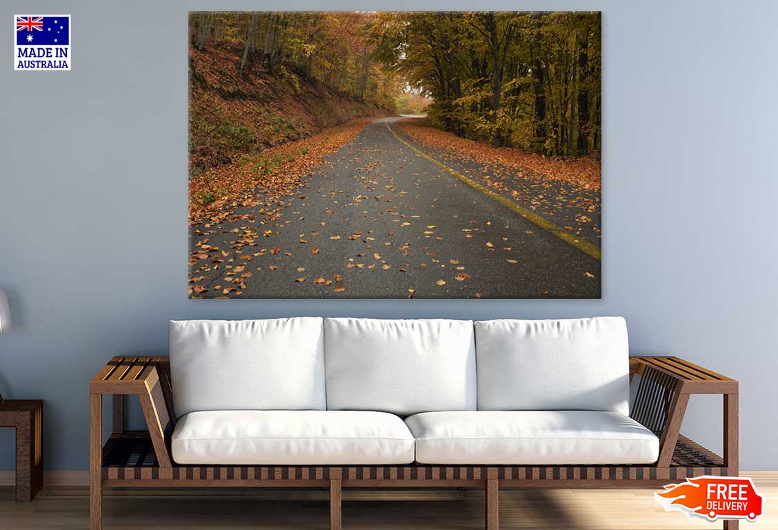 Road In Autumn Forest Photograph Print 100% Australian Made