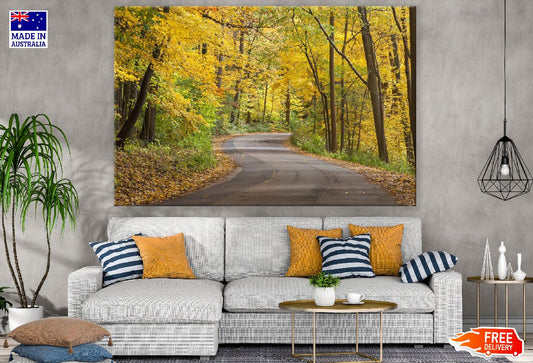 Road Covered Yellow Autumn Trees Photograph Print 100% Australian Made