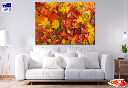 Yellow & Orange Autumn Leaves Photograph Print 100% Australian Made