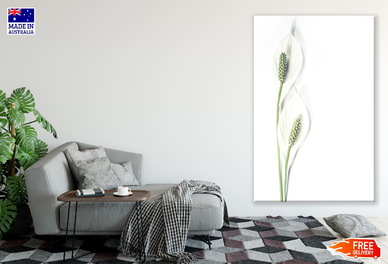 White Lilies Closeup Photograph Print 100% Australian Made
