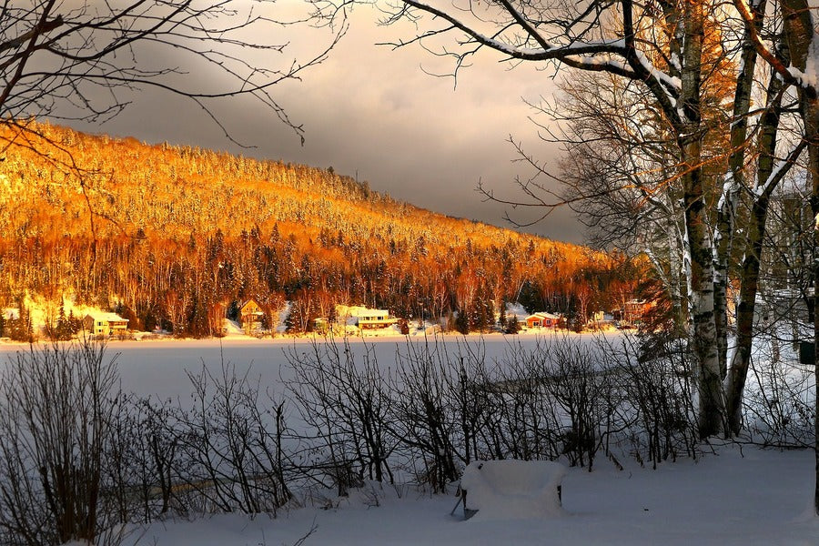Autumn Forest & Snow Covered Field Sunset Photograph Print 100% Australian Made