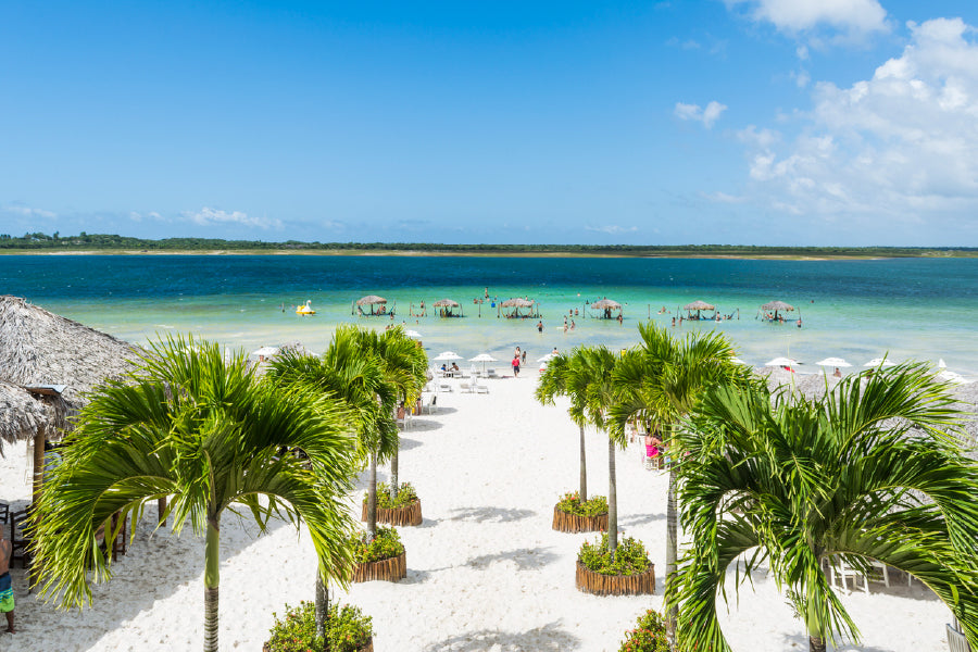 Beach Paradise with Palm Trees Photograph Print 100% Australian Made