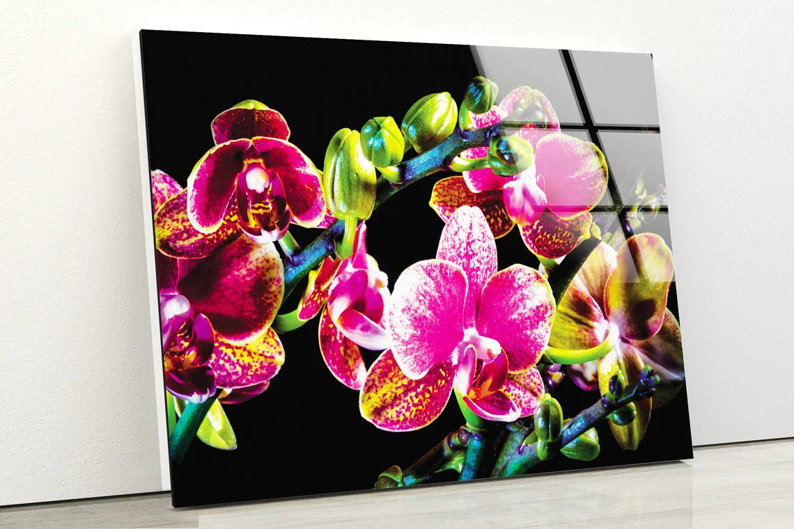 Colorful Orchid Flowers Photograph Acrylic Glass Print Tempered Glass Wall Art 100% Made in Australia Ready to Hang