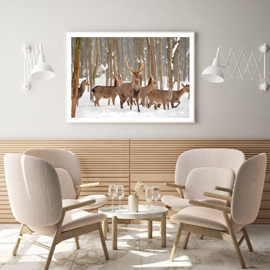 Deers in Forest Scenic Photograph Home Decor Premium Quality Poster Print Choose Your Sizes