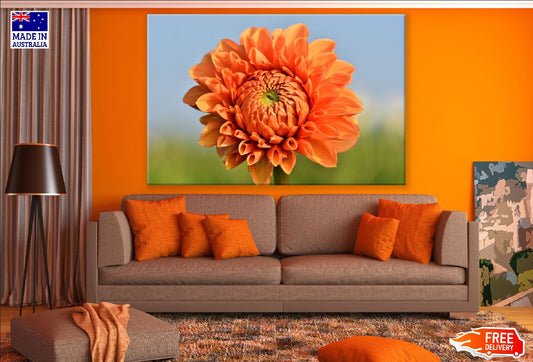 Orange Dahlia Flower Closeup Photograph Print 100% Australian Made