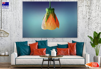 Orange Flower Closeup Photograph Print 100% Australian Made