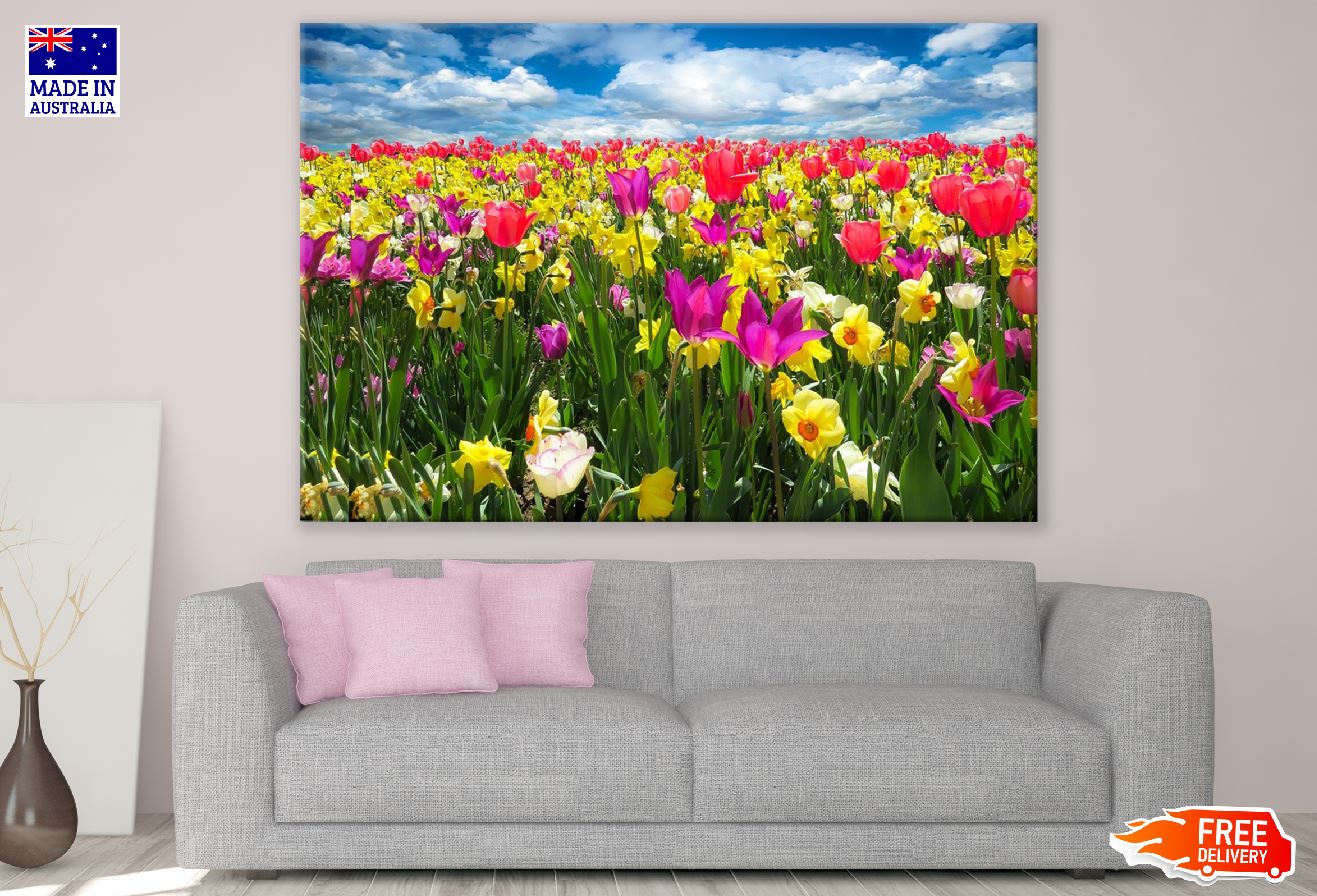 Colorful Tulip Fields Photograph Print 100% Australian Made