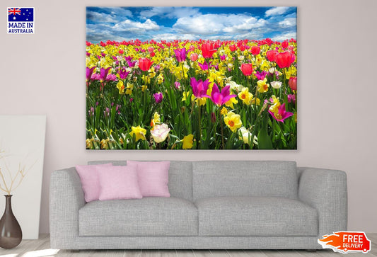 Colorful Tulip Fields Photograph Print 100% Australian Made