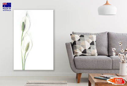 White Lilies Closeup Photograph Print 100% Australian Made