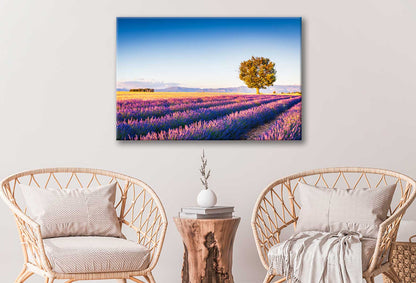 Bella Home Lavender Field Summer Sunset In France Print Canvas Ready to hang