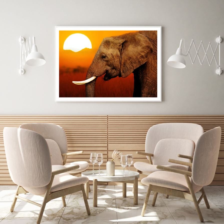 Elephant at Sunset Scenery Photograph Home Decor Premium Quality Poster Print Choose Your Sizes