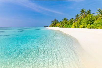 Tranquil Beach & Palm Trees View Photograph Print 100% Australian Made
