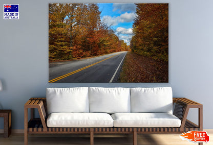 Road Covered Autumn Forest Trees Photograph Print 100% Australian Made