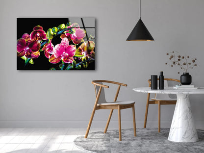 Colorful Orchid Flowers Photograph Acrylic Glass Print Tempered Glass Wall Art 100% Made in Australia Ready to Hang