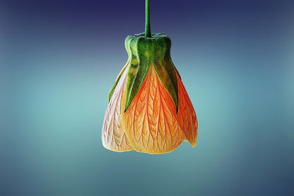 Orange Flower Closeup Photograph Print 100% Australian Made