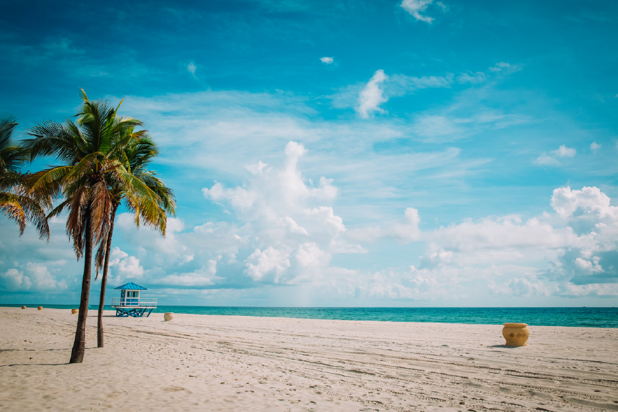 Palm Trees & Hut In Sea Sky View Photograph Print 100% Australian Made