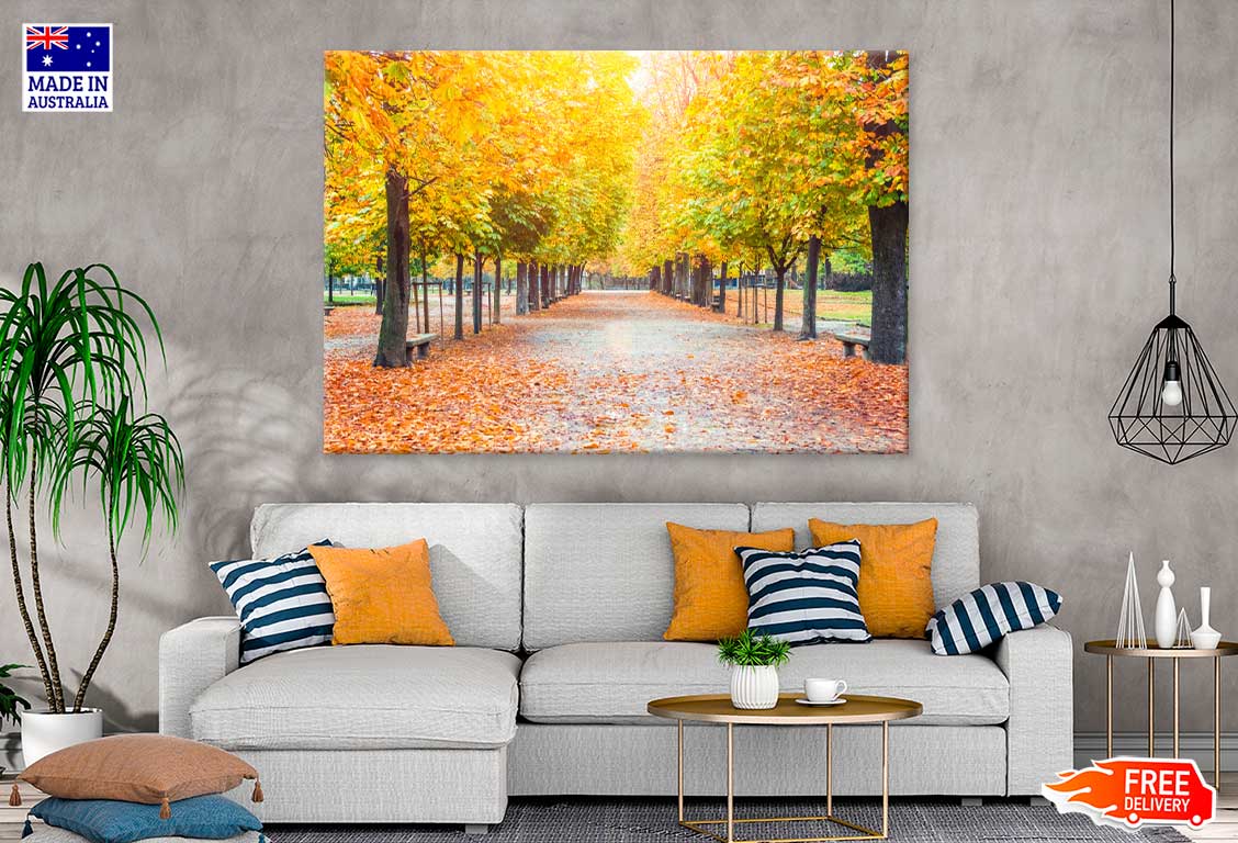 Yellow Autumn Trees Covered Road View Photograph Print 100% Australian Made