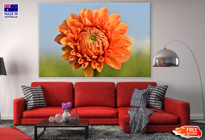Orange Dahlia Flower Closeup Photograph Print 100% Australian Made