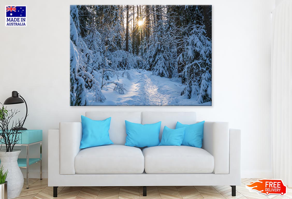 Snow Covered Trees Photograph Print 100% Australian Made