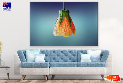 Orange Flower Closeup Photograph Print 100% Australian Made