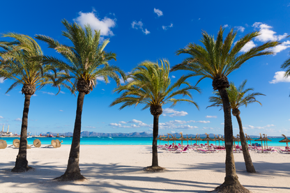 Palm Trees & Beach Huts Sea Sky View Photograph Print 100% Australian Made