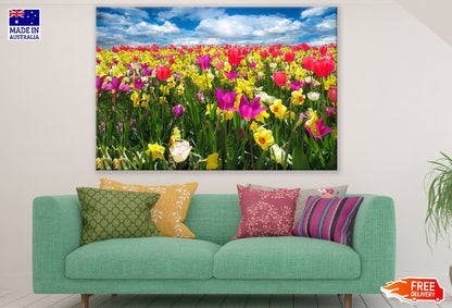 Colorful Tulip Fields Photograph Print 100% Australian Made