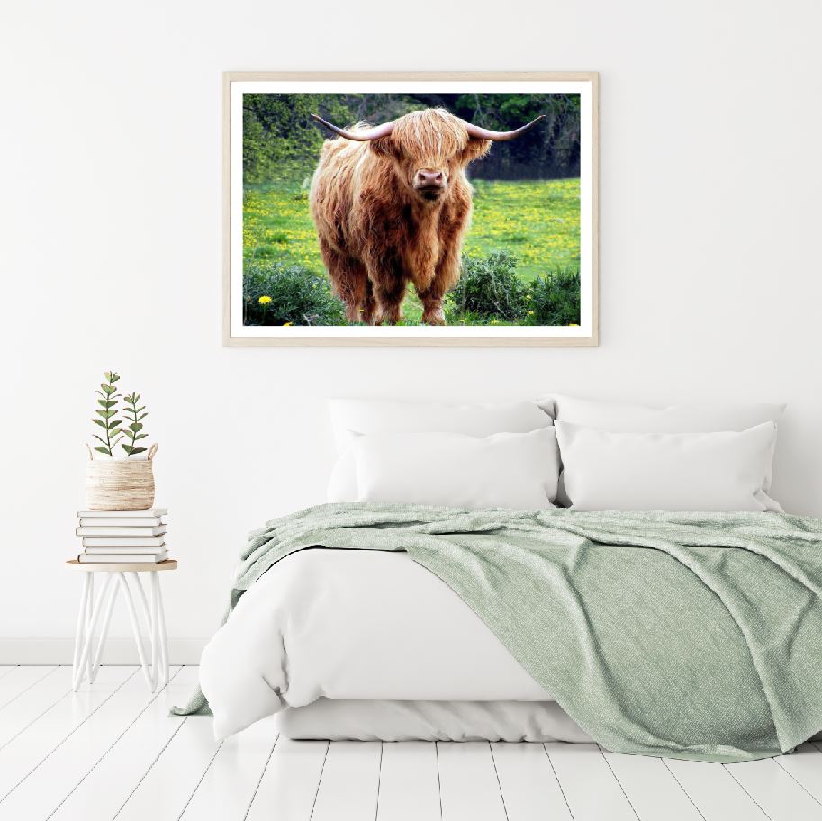 Highland Cow in Meadow Photograph Home Decor Premium Quality Poster Print Choose Your Sizes