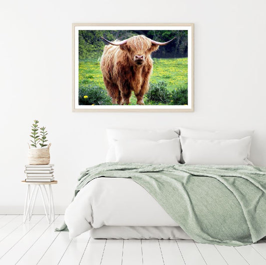 Highland Cow in Meadow Photograph Home Decor Premium Quality Poster Print Choose Your Sizes