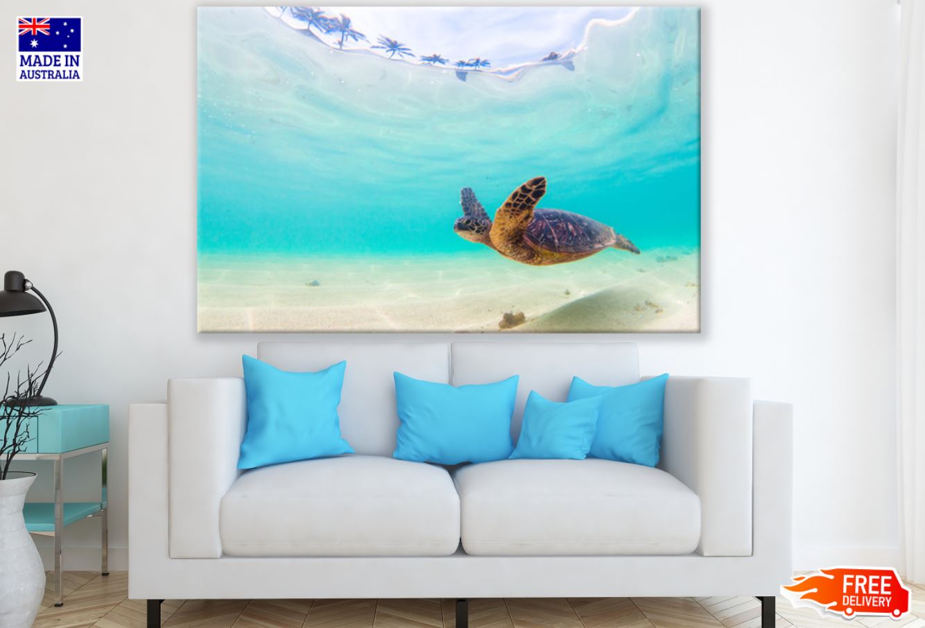 Turtle Underwater Photograph Print 100% Australian Made