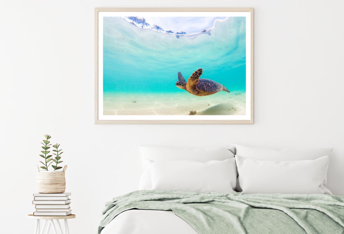 Turtle Underwater Photograph Home Decor Premium Quality Poster Print Choose Your Sizes