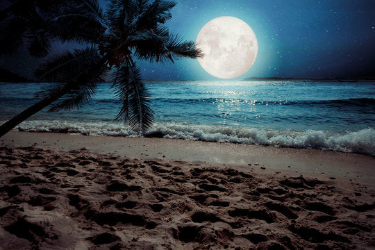 Palm Tree & Sea with Moon Scenery Print 100% Australian Made