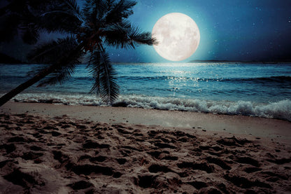 Palm Tree & Sea with Moon Scenery Print 100% Australian Made