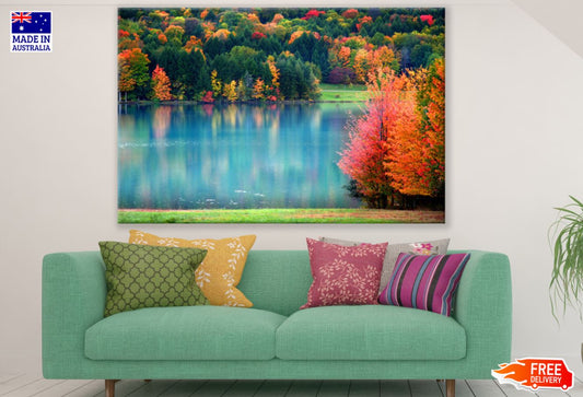 Colorful Forest & Lake Scenery Print 100% Australian Made