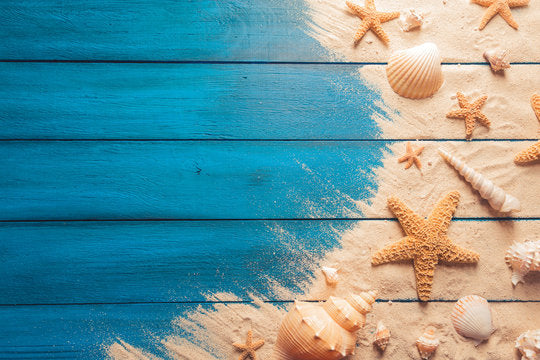 Sea Shells on Sand Photograph Print 100% Australian Made