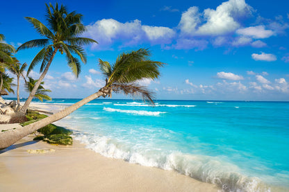 Palm Trees & Sea Scenery View Home Decor Premium Quality Poster Print Choose Your Sizes