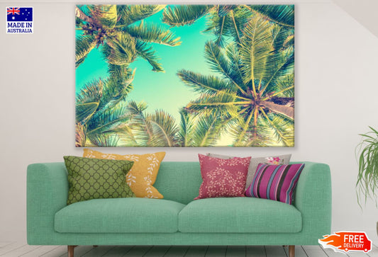 Palm Trees Closeup Photograph Print 100% Australian Made