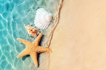 Sea Shells on Beach Aerial View Home Decor Premium Quality Poster Print Choose Your Sizes