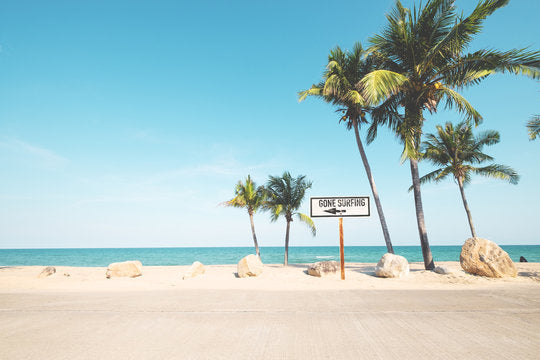 Palm Trees Near Sea Photograph Print 100% Australian Made