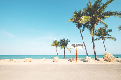 Palm Trees Near Sea Photograph Home Decor Premium Quality Poster Print Choose Your Sizes