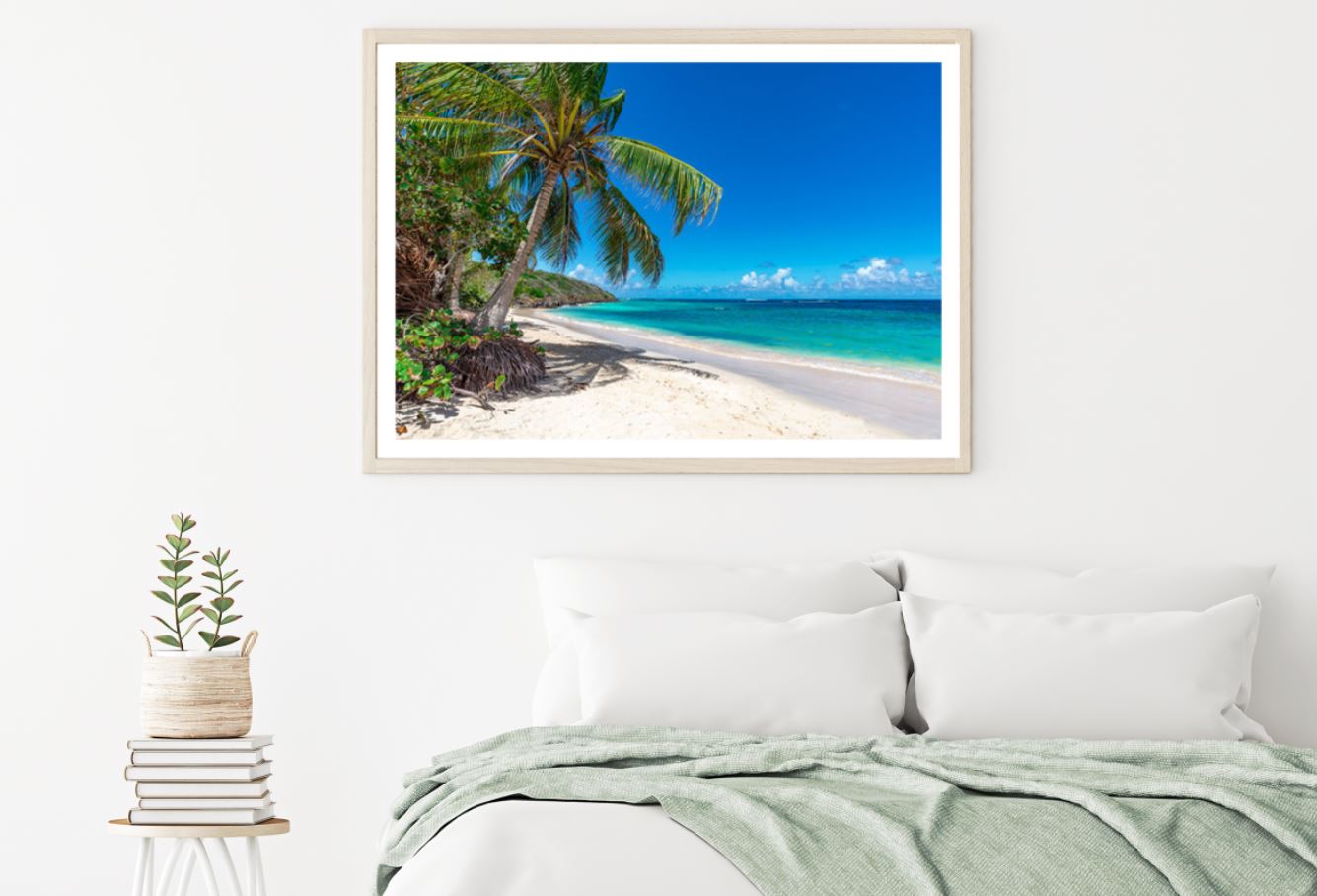 Palm Trees Near Sea Photograph Home Decor Premium Quality Poster Print Choose Your Sizes