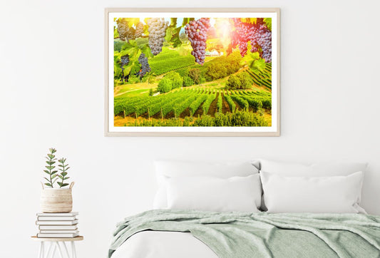 Grapes & Stunning Field View Home Decor Premium Quality Poster Print Choose Your Sizes