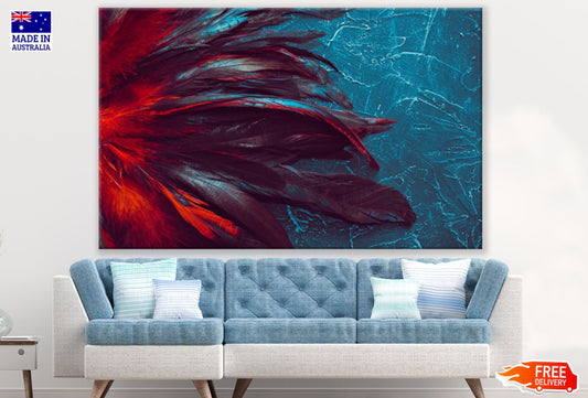 Colorful Feathers Photograph Print 100% Australian Made