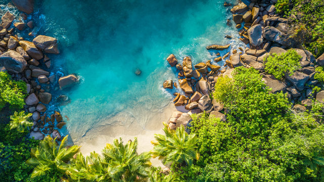 Sea & Forest Aerial Photograph Print 100% Australian Made