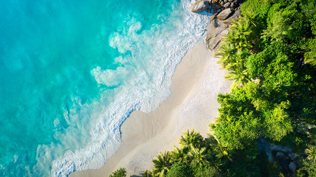 Sea & Forest Aerial Photograph Print 100% Australian Made