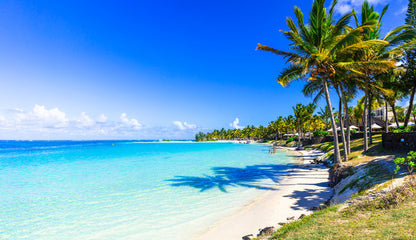 Palm Trees on Beach Scenery View Home Decor Premium Quality Poster Print Choose Your Sizes